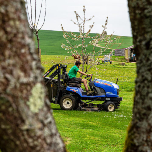 Un professionnel pour votre entretien d’espaces verts près de Longuyon