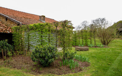 Paysagiste à Montmédy pour votre jardin